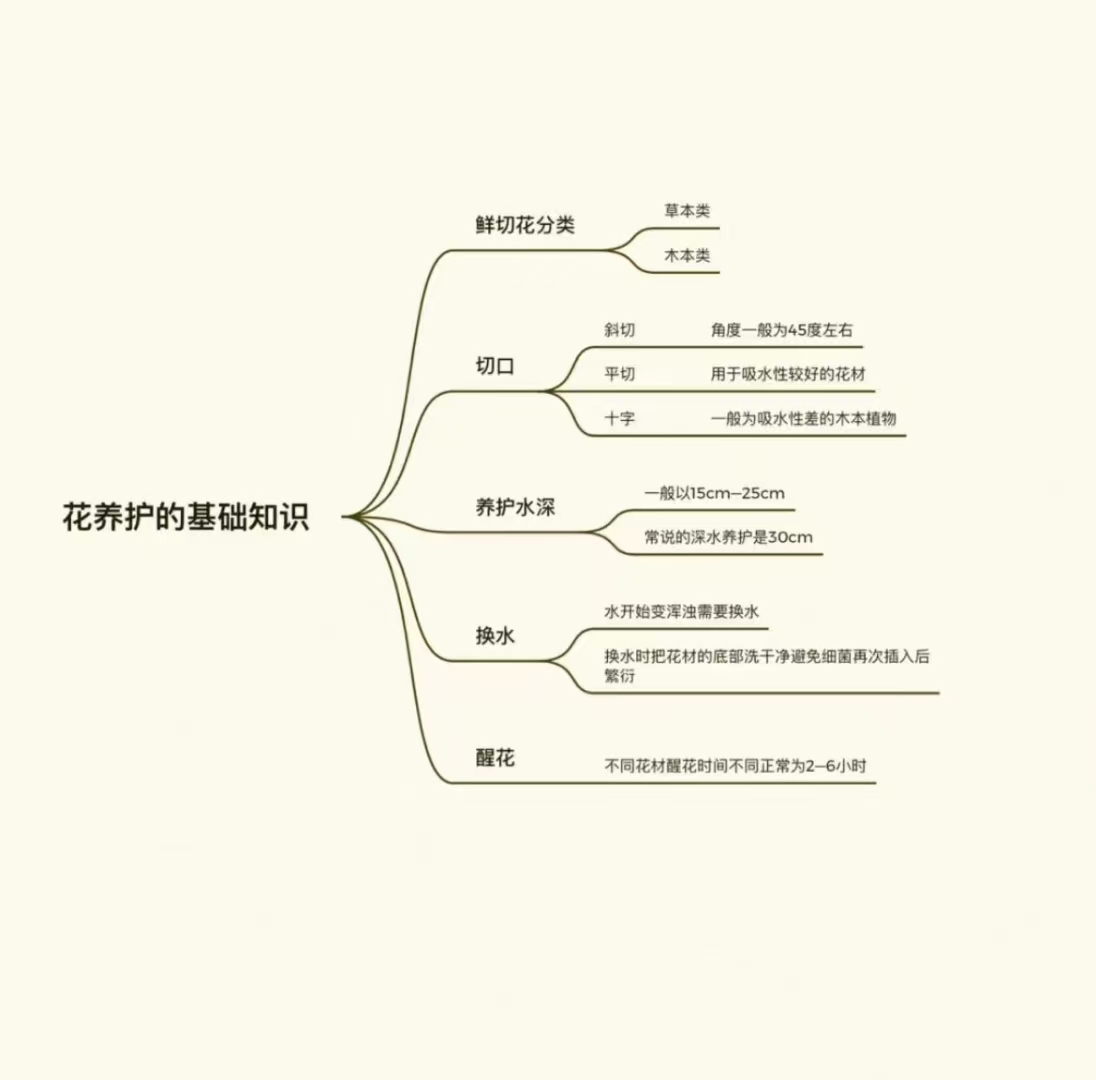 花艺小知识｜花样养护的基础知识