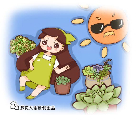 天气越来越热，多肉再不管，一夏天能死一大片