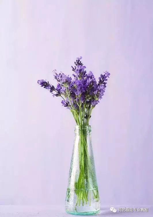 紫罗兰，玫瑰，花毛茛，洋桔梗，雏菊插瓶小技巧！