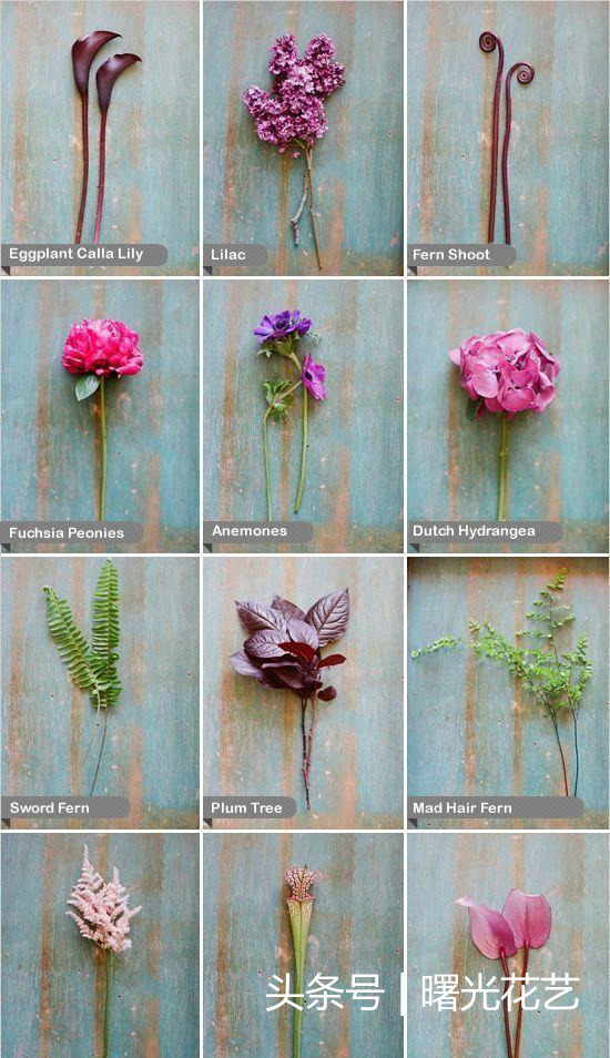 家居小技巧：家庭插花的运用，花卉的搭配让你家看起来更美！