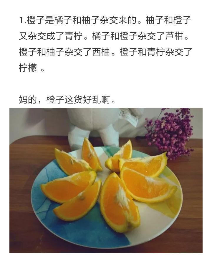 关于植物的冷知识，你都知道哪些？