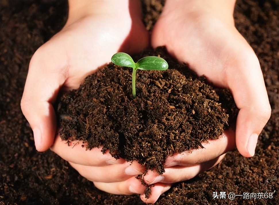 园艺小知识 1.适合栽培植物的土壤