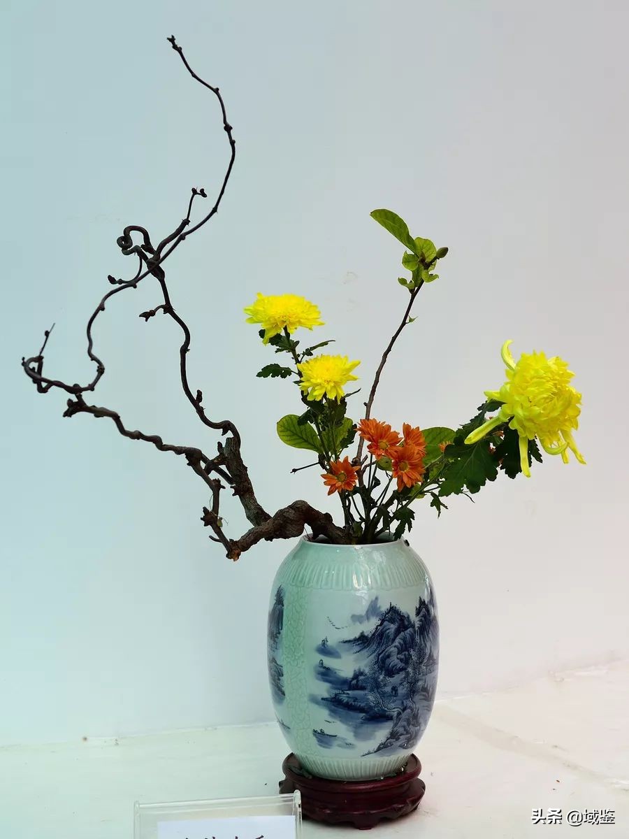 插花艺术｜花与瓷的结合，感受中国古典风雅