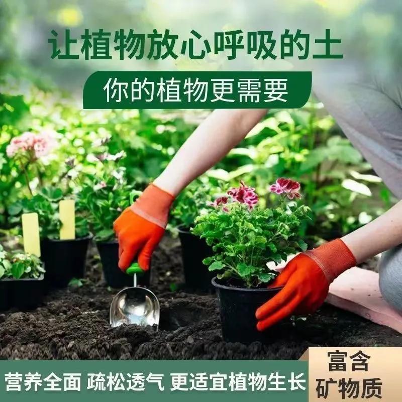 家庭绿植养护