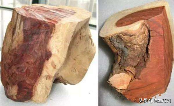 木材常用知识大全