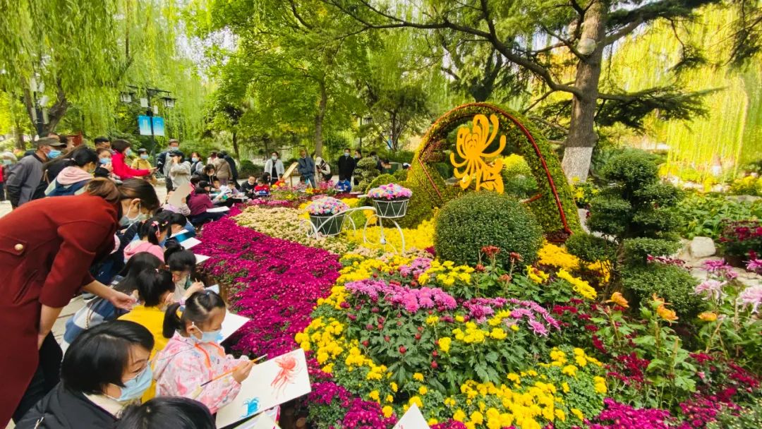 关于菊花，还有这些少为人知的第一！