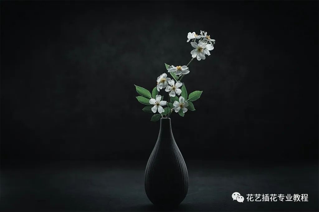中式插花学习——中国意境的美