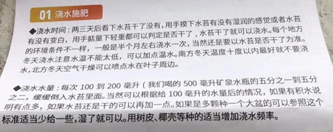 蝴蝶兰几天浇水一次? 蝴蝶兰养护实践经验分享之“浇水、施肥”篇