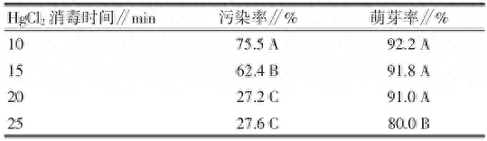 蝴蝶兰‘红天鹅’组织培养及快繁技术