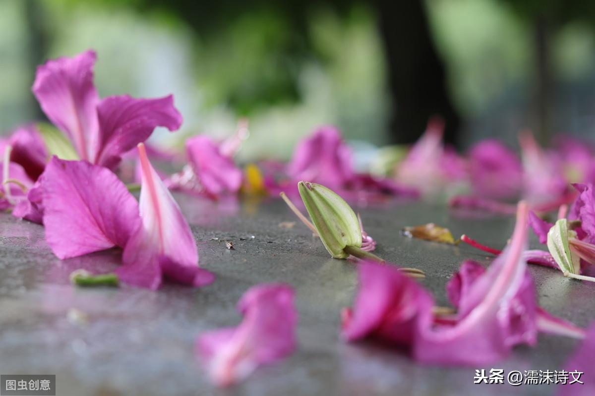 形容落花简短的唯美句子（唯美的落花诗）