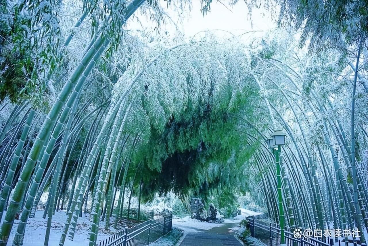 描写雪的诗歌有哪些（10首雪花诗，你喜欢哪一种？）